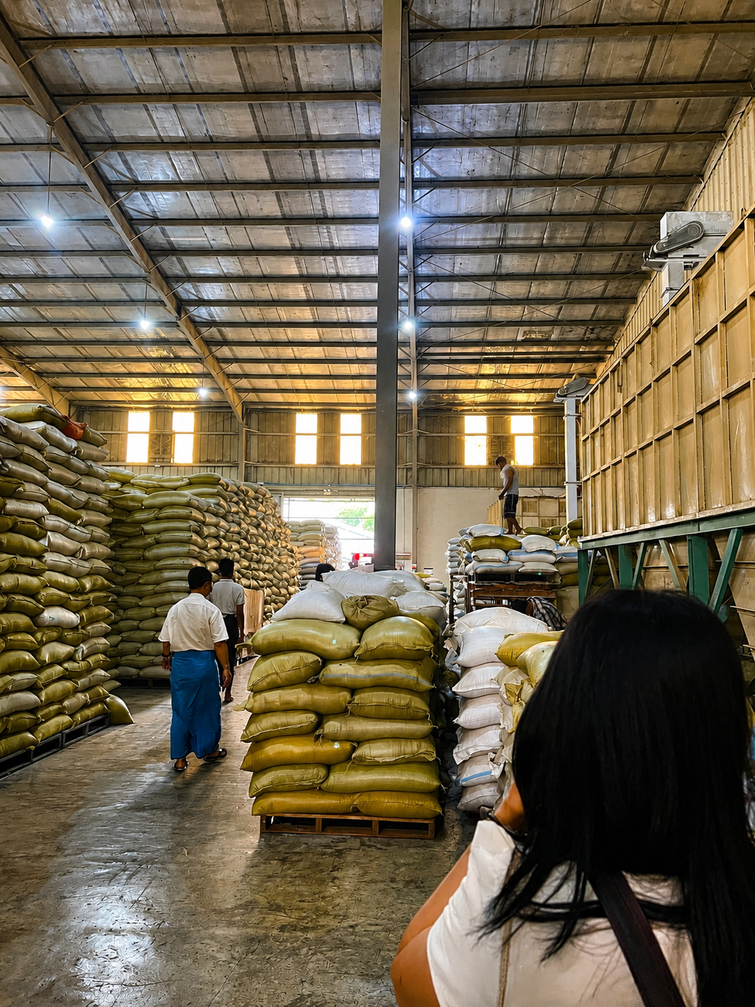 H-IMEX Processing & Sorting Terminal