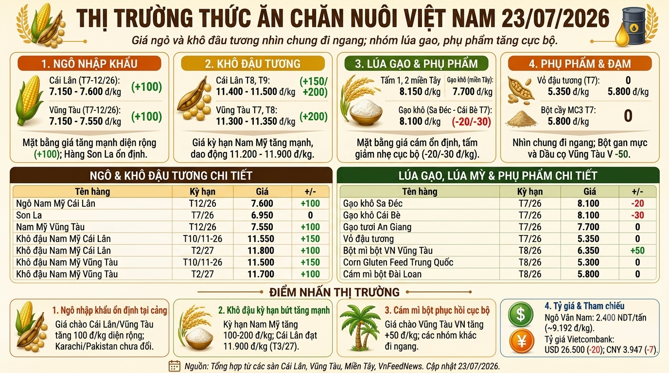 Vietnam Feed Market Report (July 23, 2026): Imported Corn and Soybean Meal Surge Across Key Ports